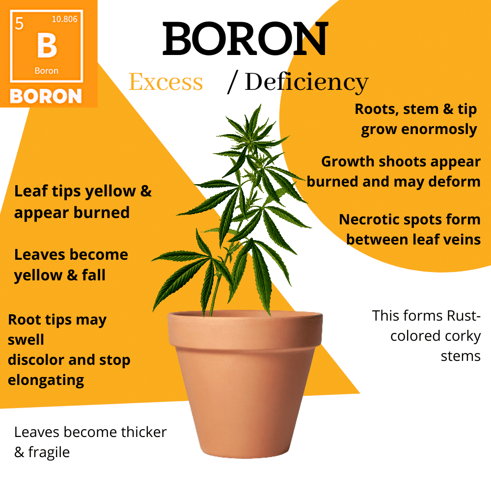 Deficiencies Guide [Leaves, Nutrients & Charts Explained]! Expert