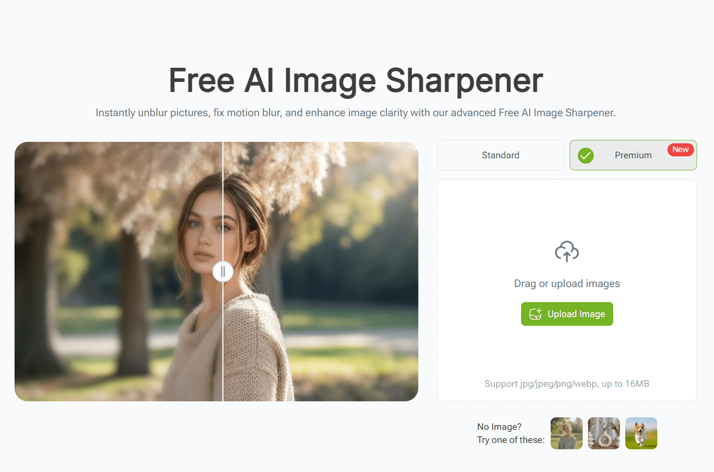 Best 550+ Tuff Clan Names Unique, Savage & Strong Names 2026(08)