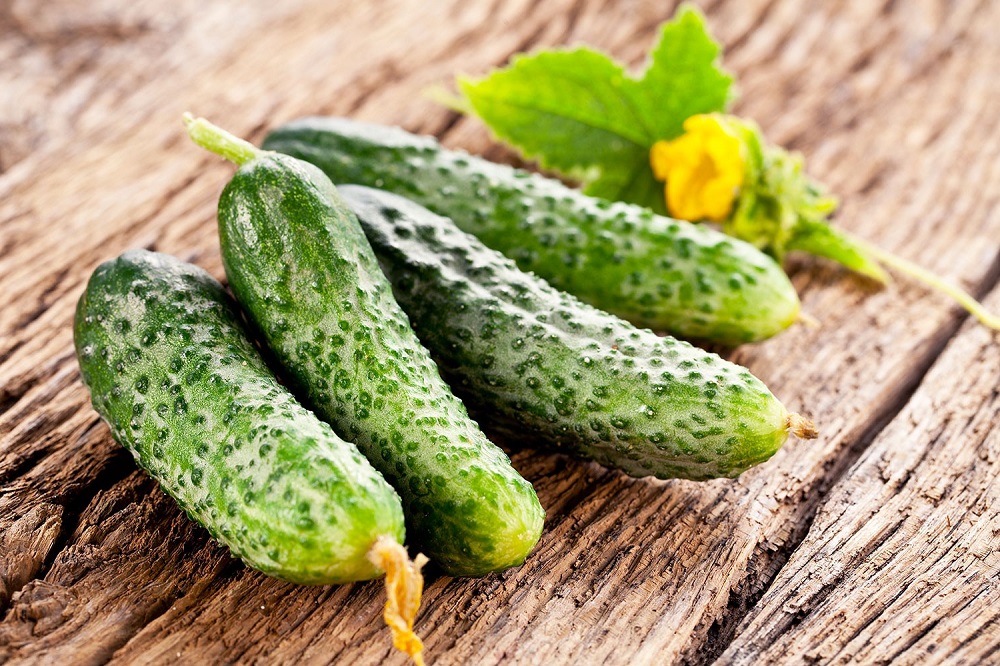 Quelle est la durée de conservation des cornichons ? Expirata.fr