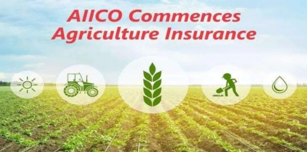 Aiico insurance plc Nigeria. A complete guide. Info, Guides, and Howtos.