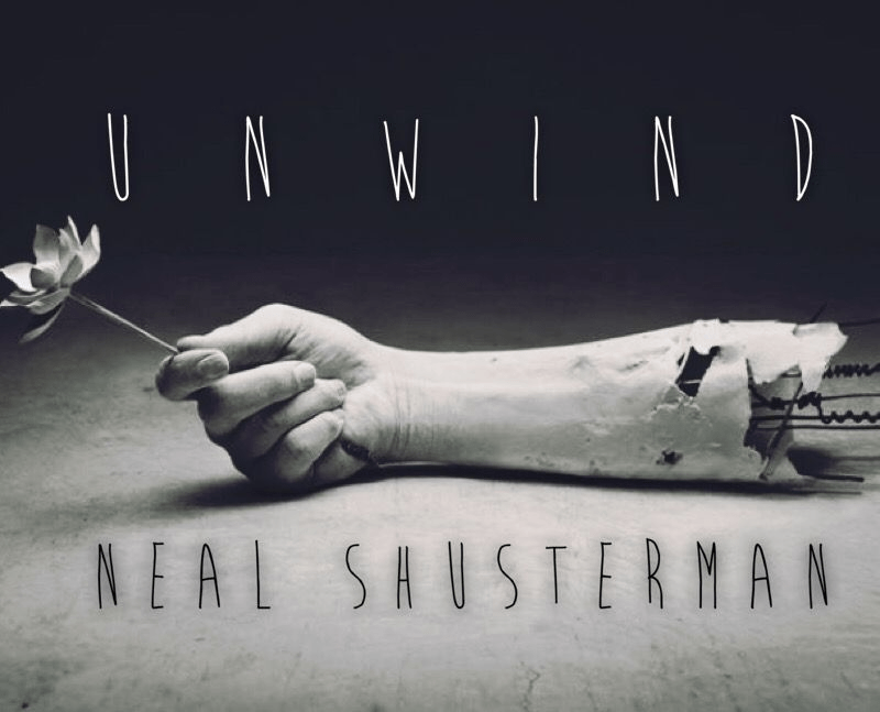 "Unwind" Book Review Summary, Analyzing the Themes, Meaning