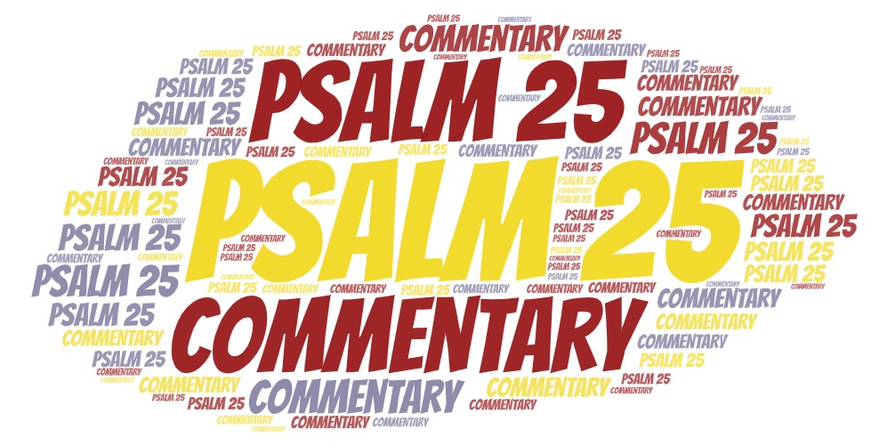 Psalm 25 Commentary Explaining The Book