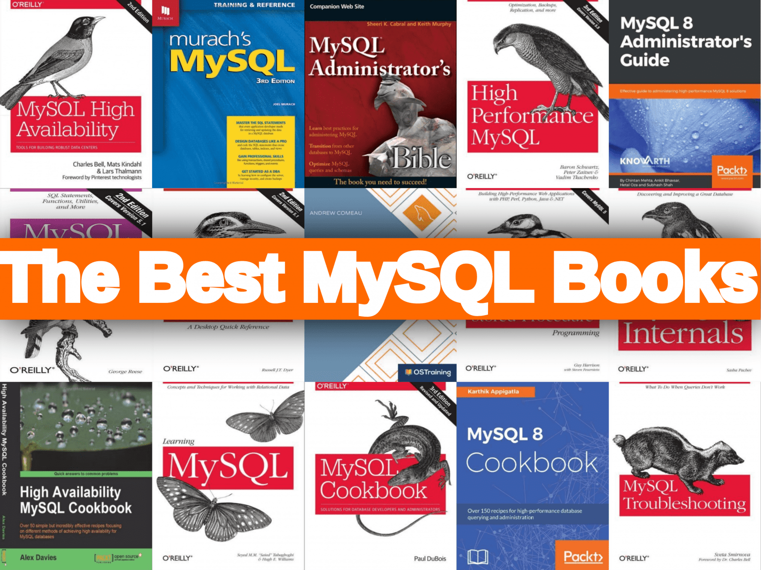 The Best Books for Learning MySQL Database Java Programming Tutorials