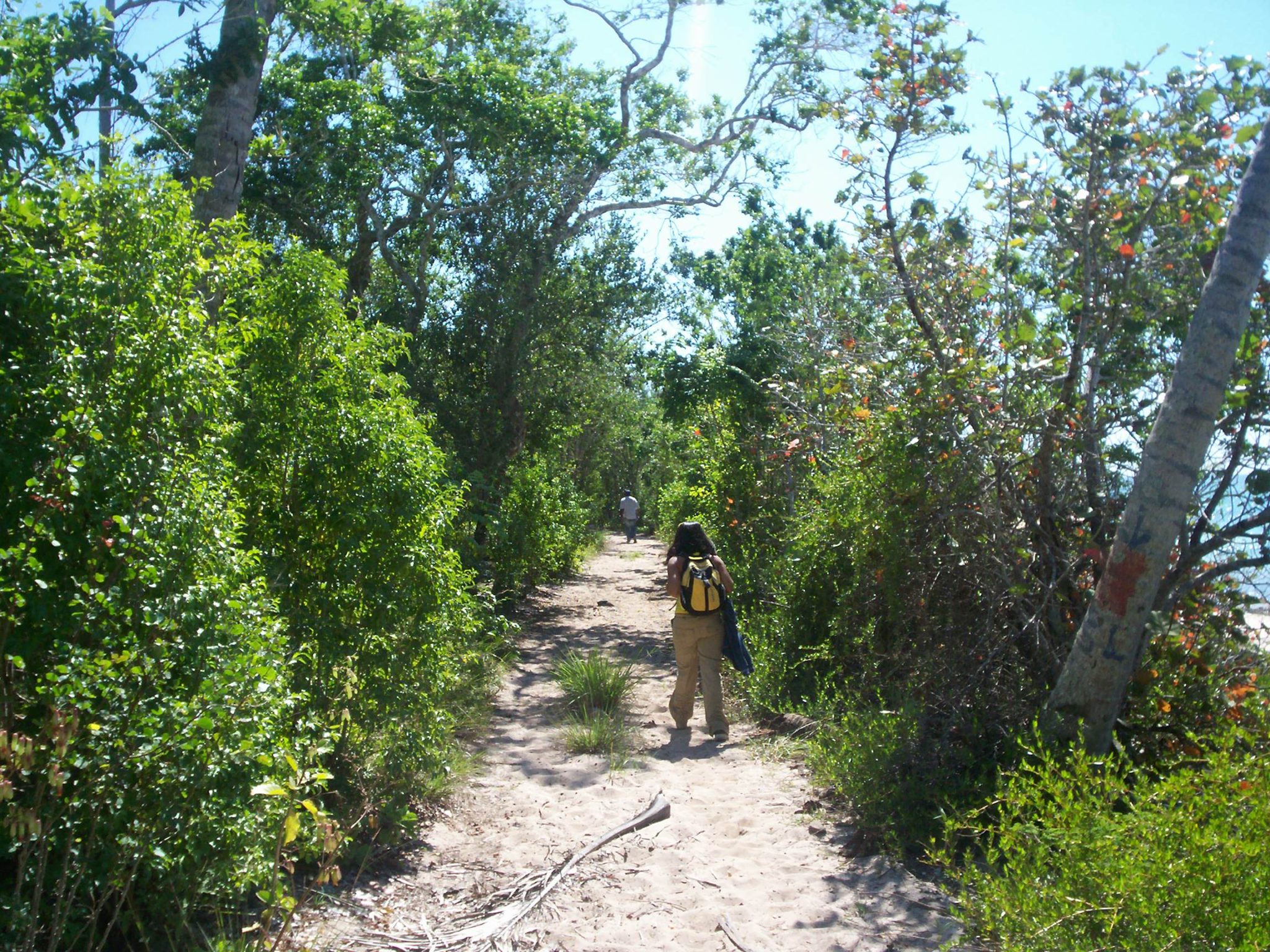 National Park of the East Birding Tour from Punta Cana Explora! Ecotour