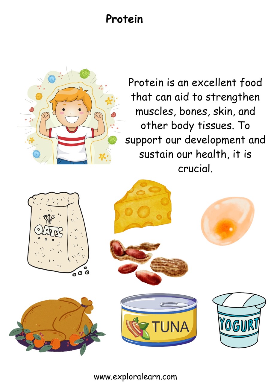 Food Groups Worksheets for Preschool and Kindergarten 2 to 6 years Kids