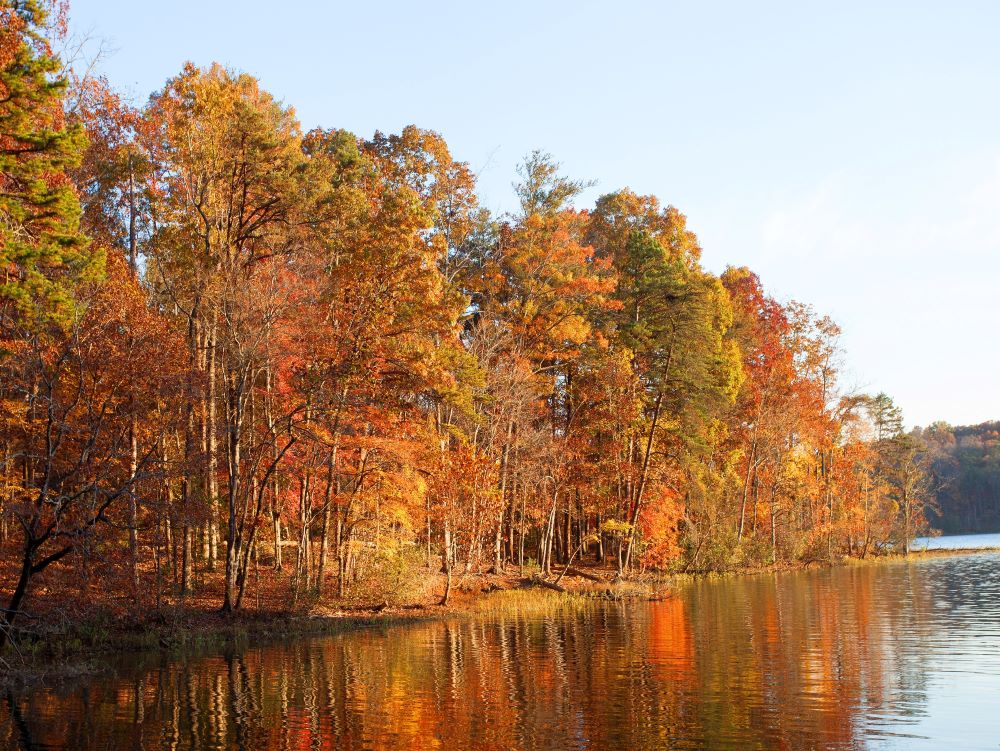 24 Best Lakes in North Carolina Exploration Solo