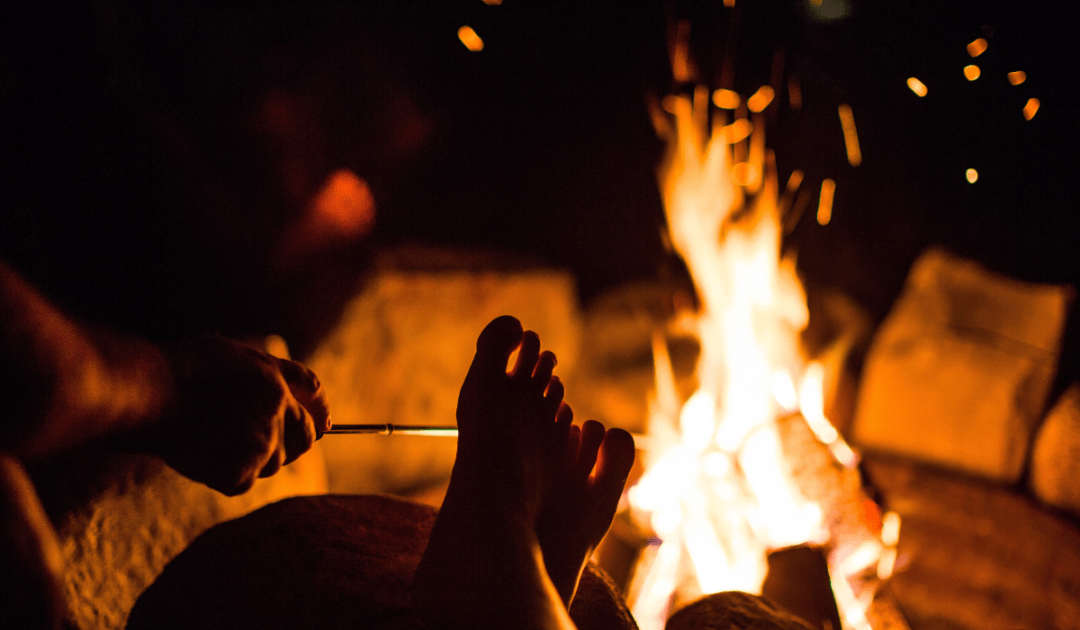 How to Get Rid of Meat Bees While Camping Such Simple Tips