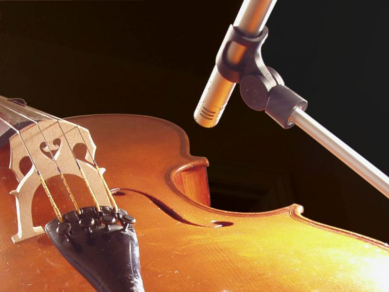 Acoustic Cello Difference at Daniel Griffith blog
