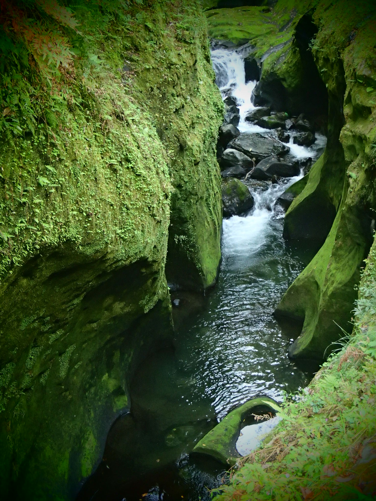 Takachiho Tour Explore Kumamoto