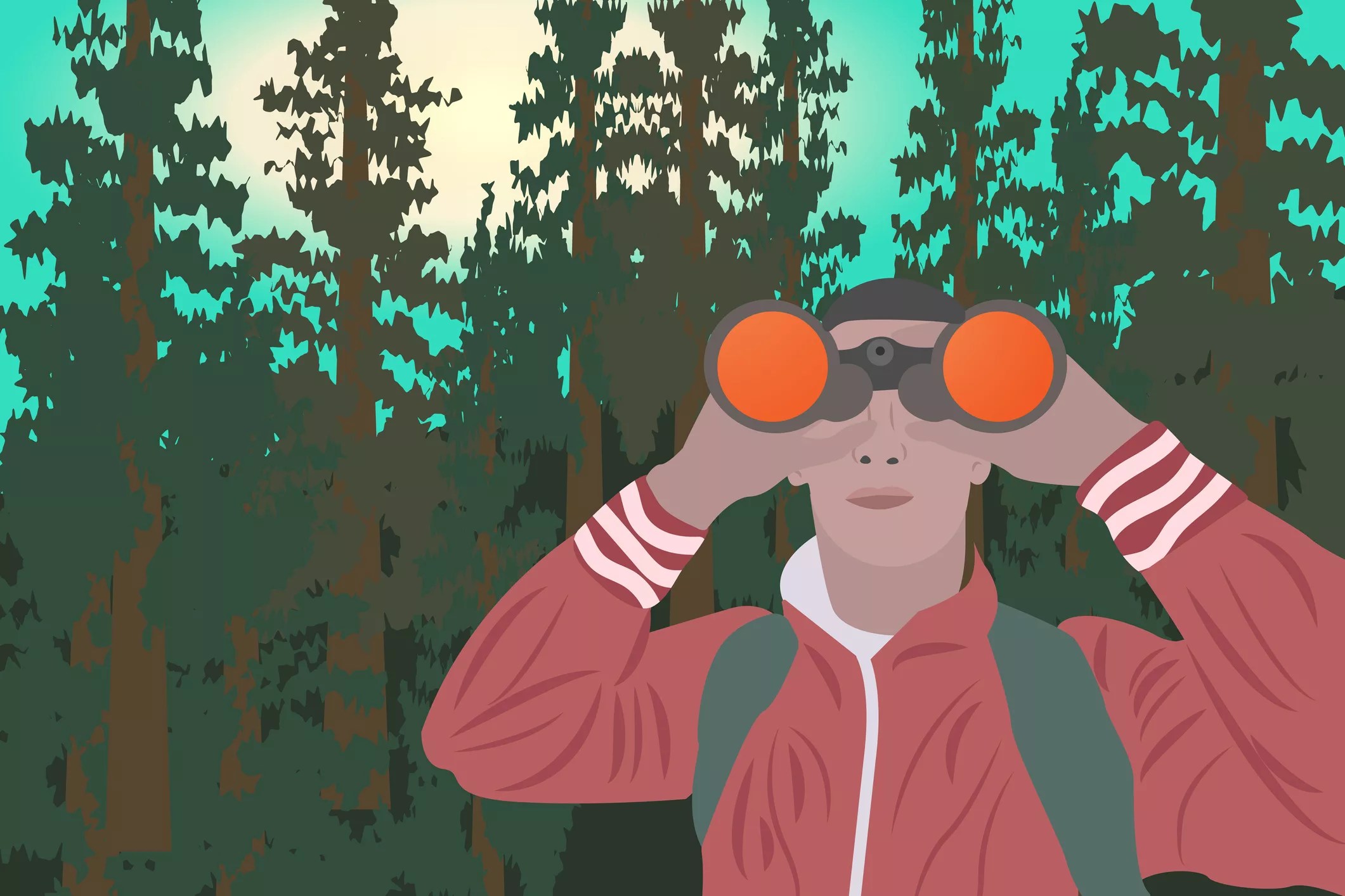 Birding 101 Guidelines and Basic Rules for Beginner Bird Watching in