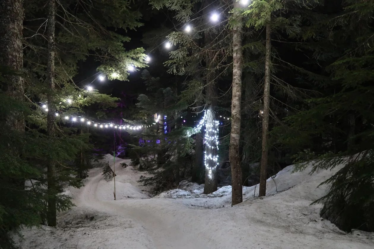 Snowshoeing at Cypress Mountain Lights to the Lodge Explore Magazine