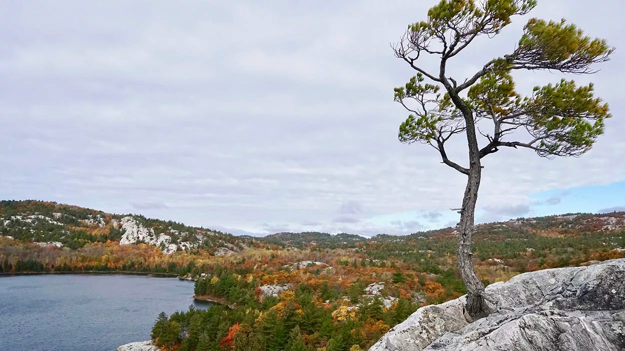 The Happy Camper Killarney Backcountry Campsites Now SiteSpecific