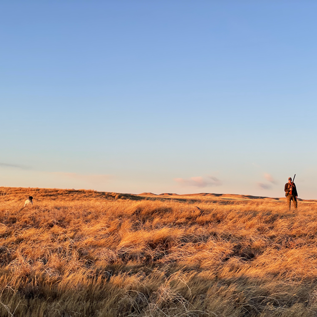 What to do in Bozeman in November Explore Rentals