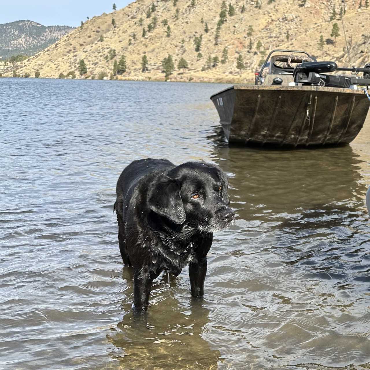 Explore Pro RUTH Explore Rentals