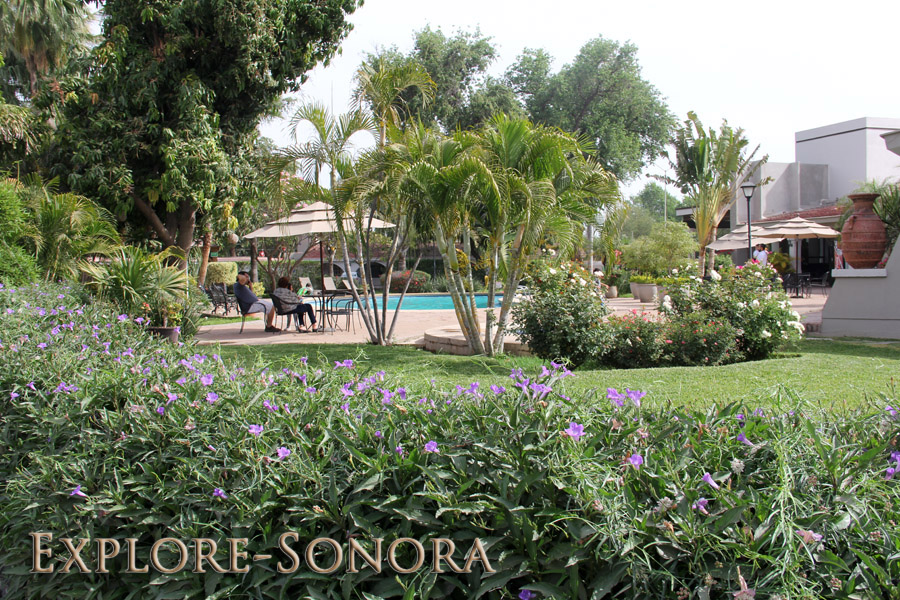 Top Hotels and Lodging Options in Navojoa, Mexico Explore Sonora