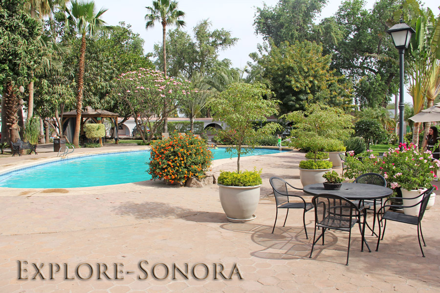 Top Hotels and Lodging Options in Navojoa, Mexico Explore Sonora