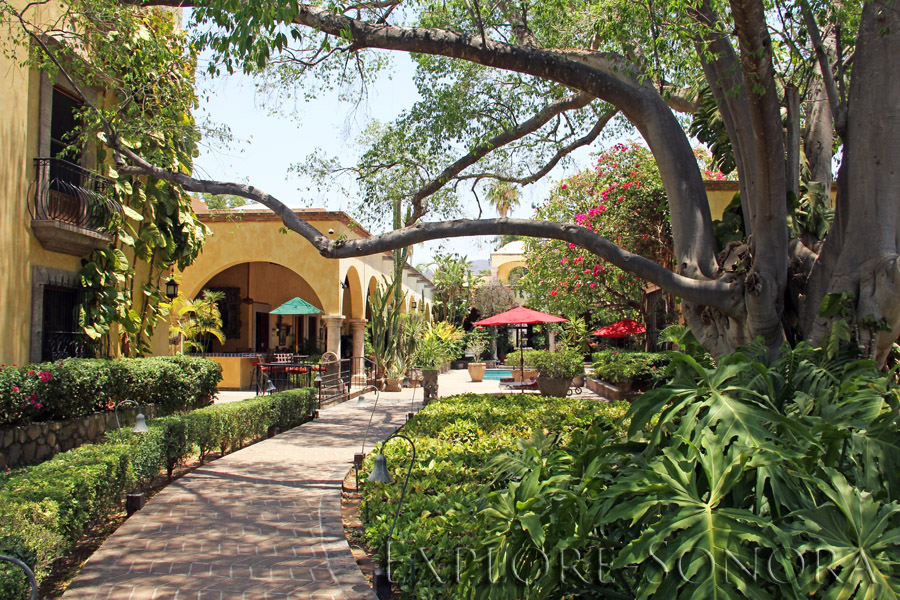 Hacienda de los Santos in Alamos, Sonora Explore Sonora