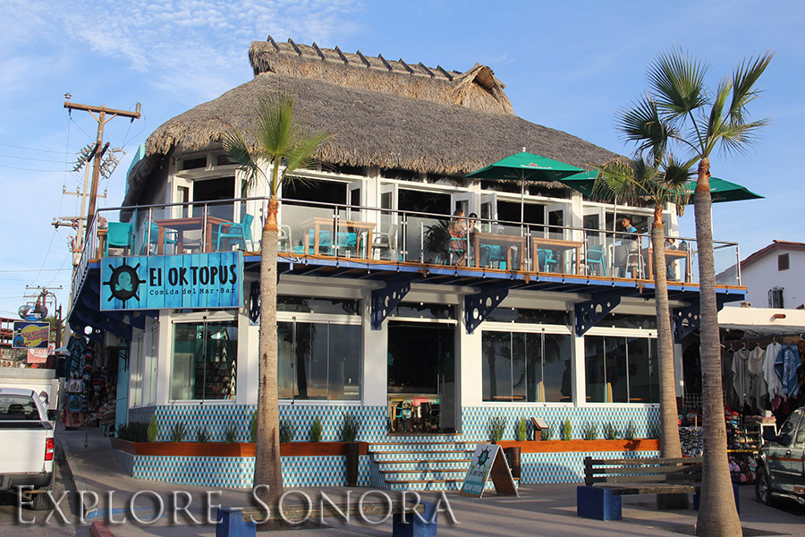 Discover the Night Life in Rocky Point Puerto Peñasco, Mexico Explore Sonora