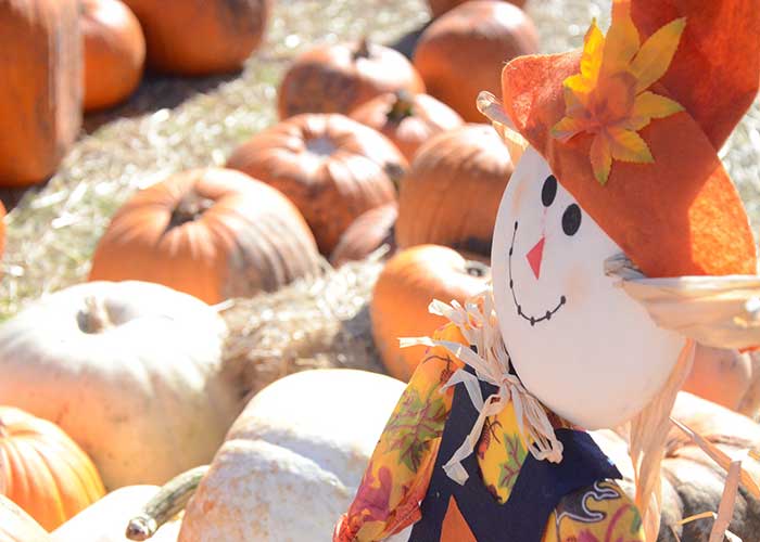 New Hampshire Fall Festivals 2023