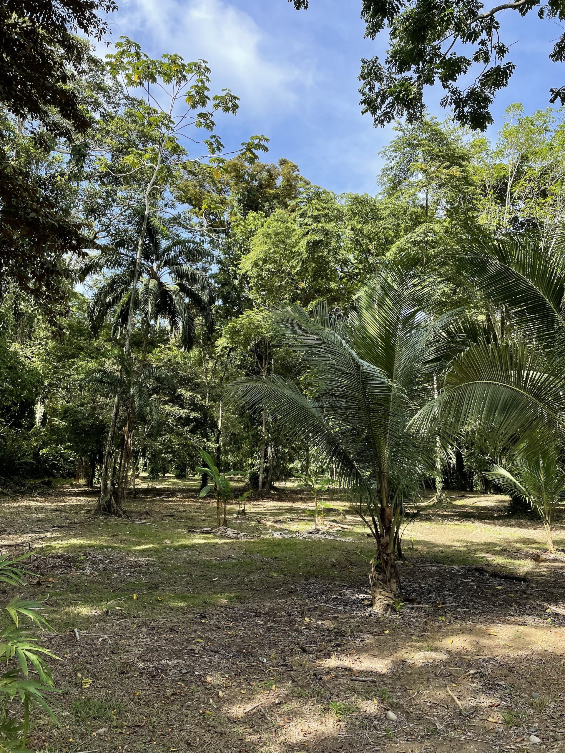 Real Estate Congo Bongo EcoVillage Explore