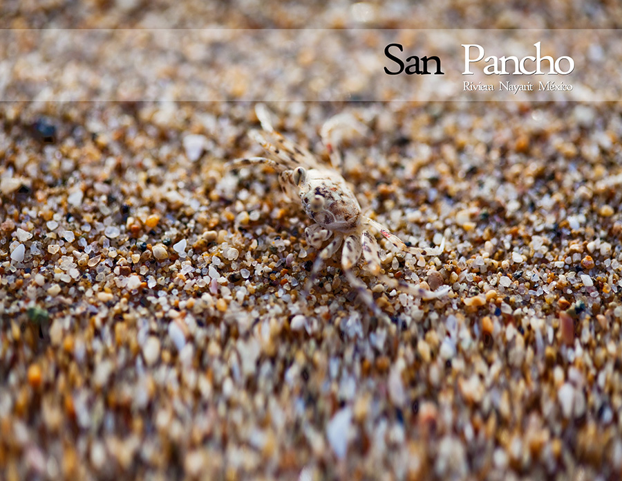 San Pancho Commercial entrance parcel The Mexico Land Catalog