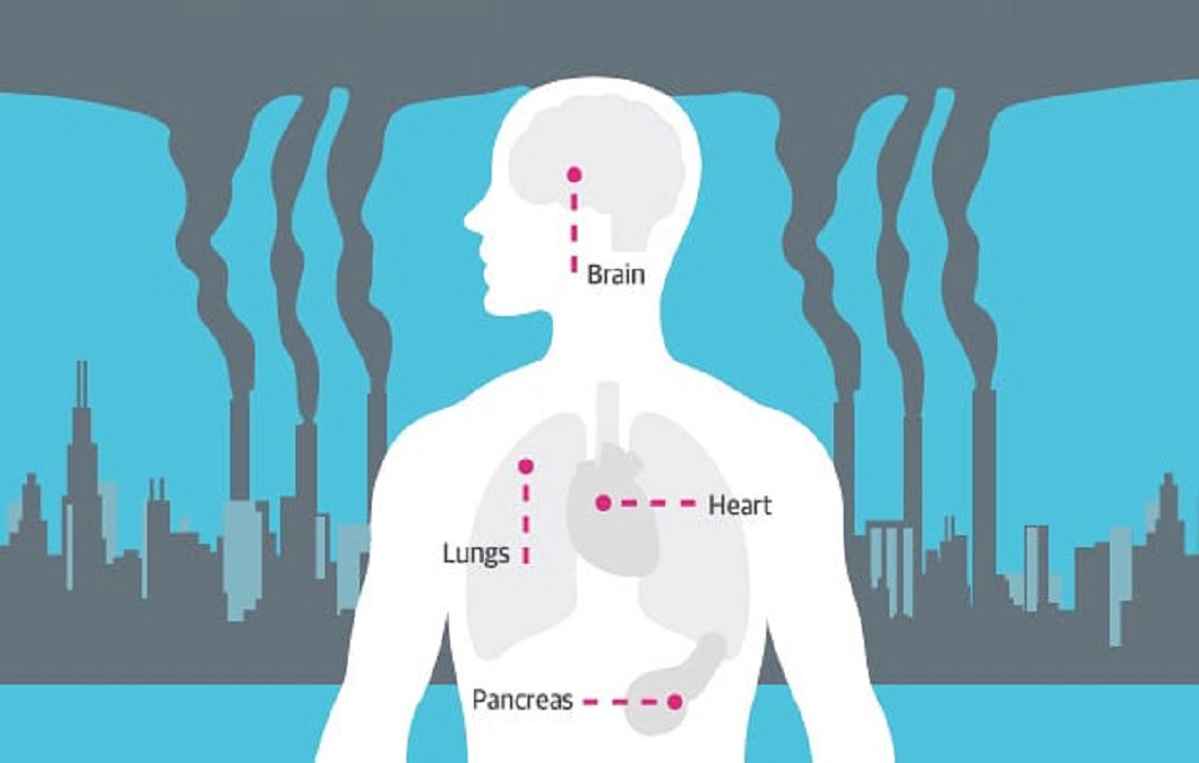 How harmful is lead pollution to health? Explore