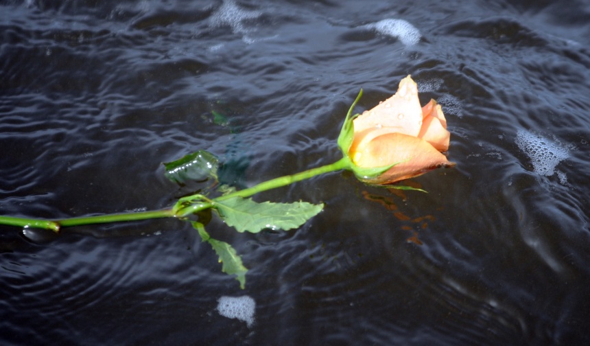 Remembering the past Exploring the Depth of Living