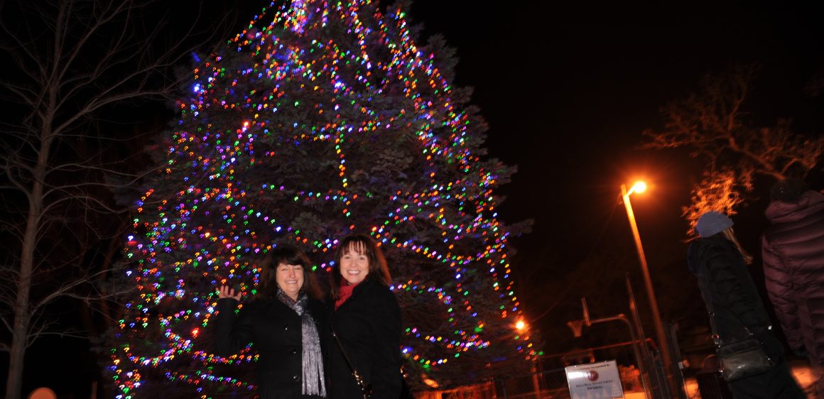 Afton MN Area Business Association