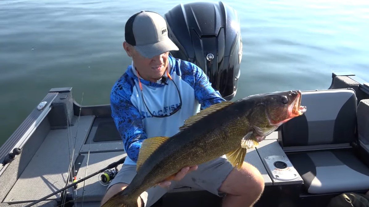 Glide Baits for Big Walleyes Explore Alexandria Minnesota
