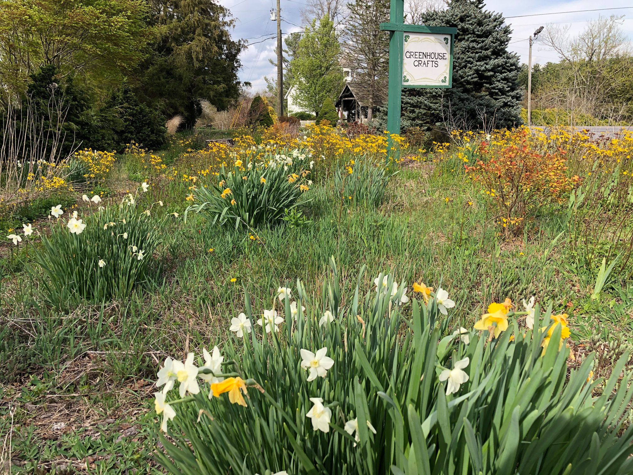 Greenhouse Crafts Shop Explore Ashe