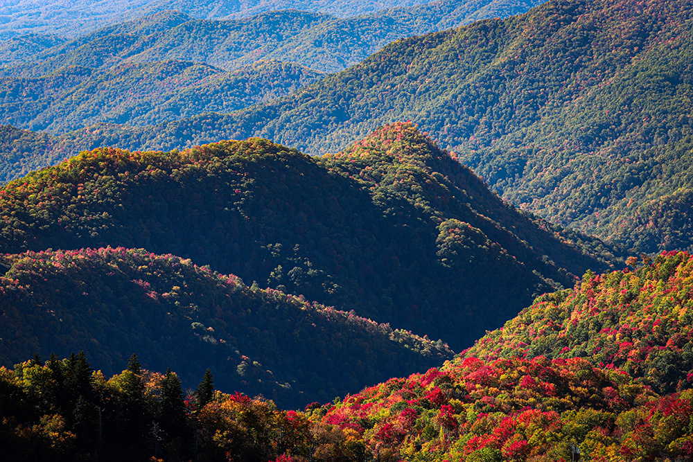 Asheville 2023 Fall Color Report & Forecast Scenic Views Asheville