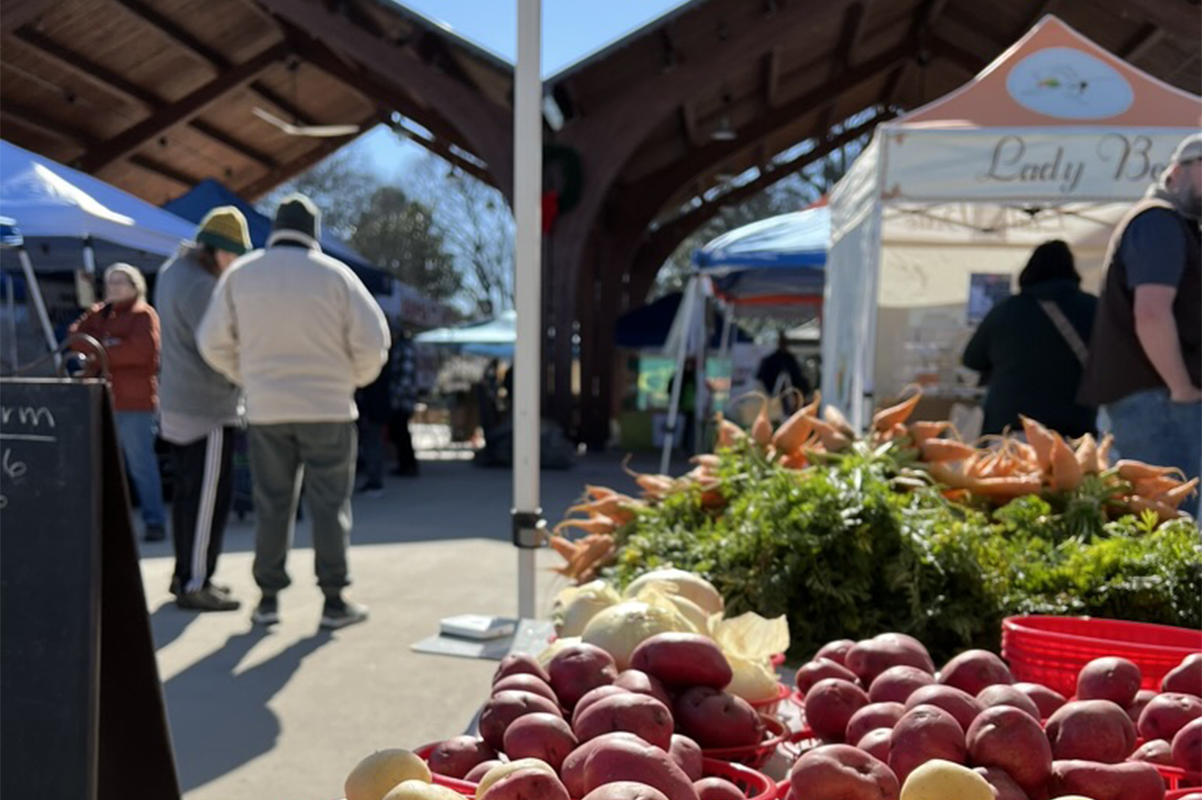 Explore Avondale Explore Avondale Passport