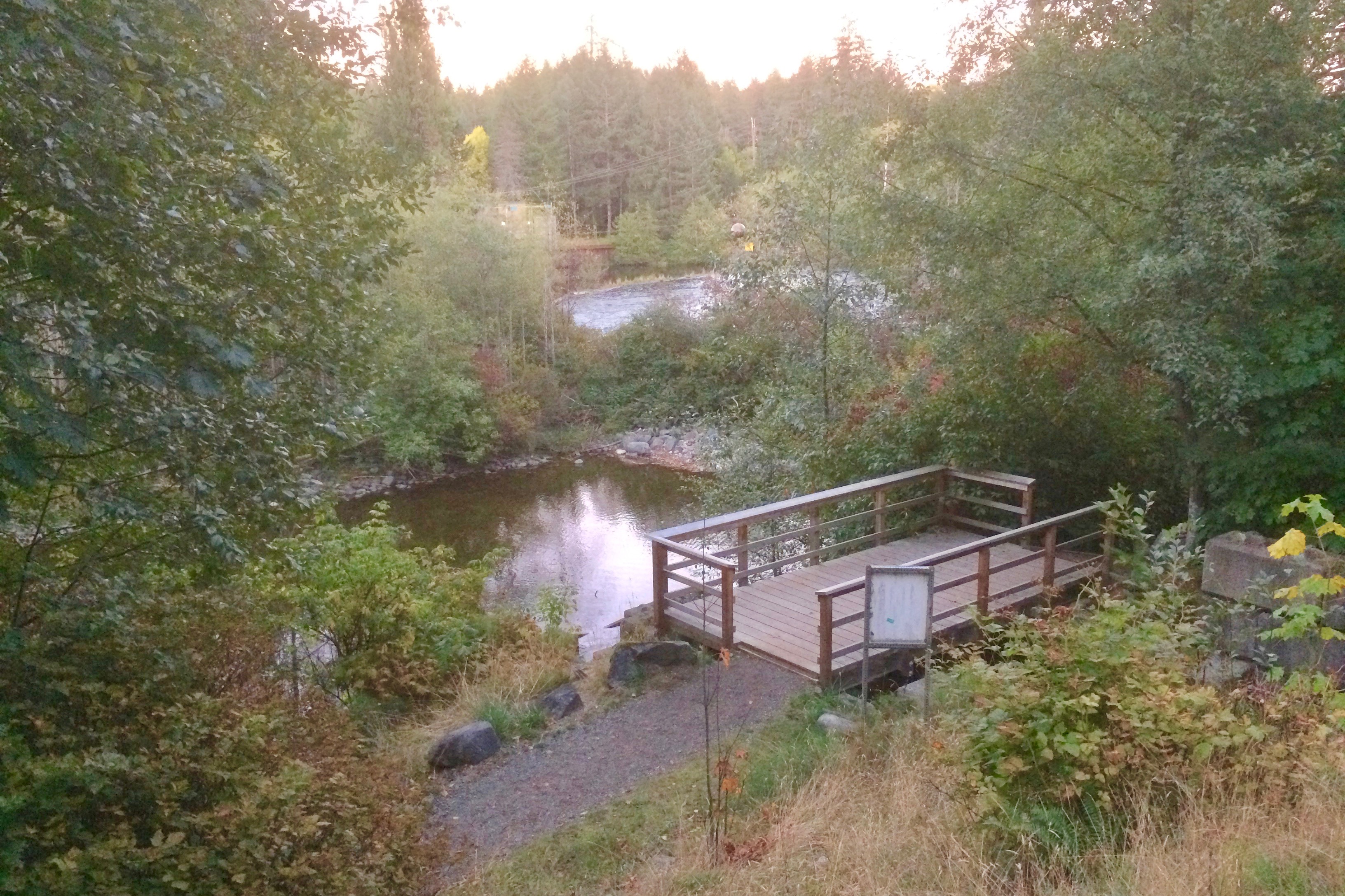 Elk Falls Provincial Park