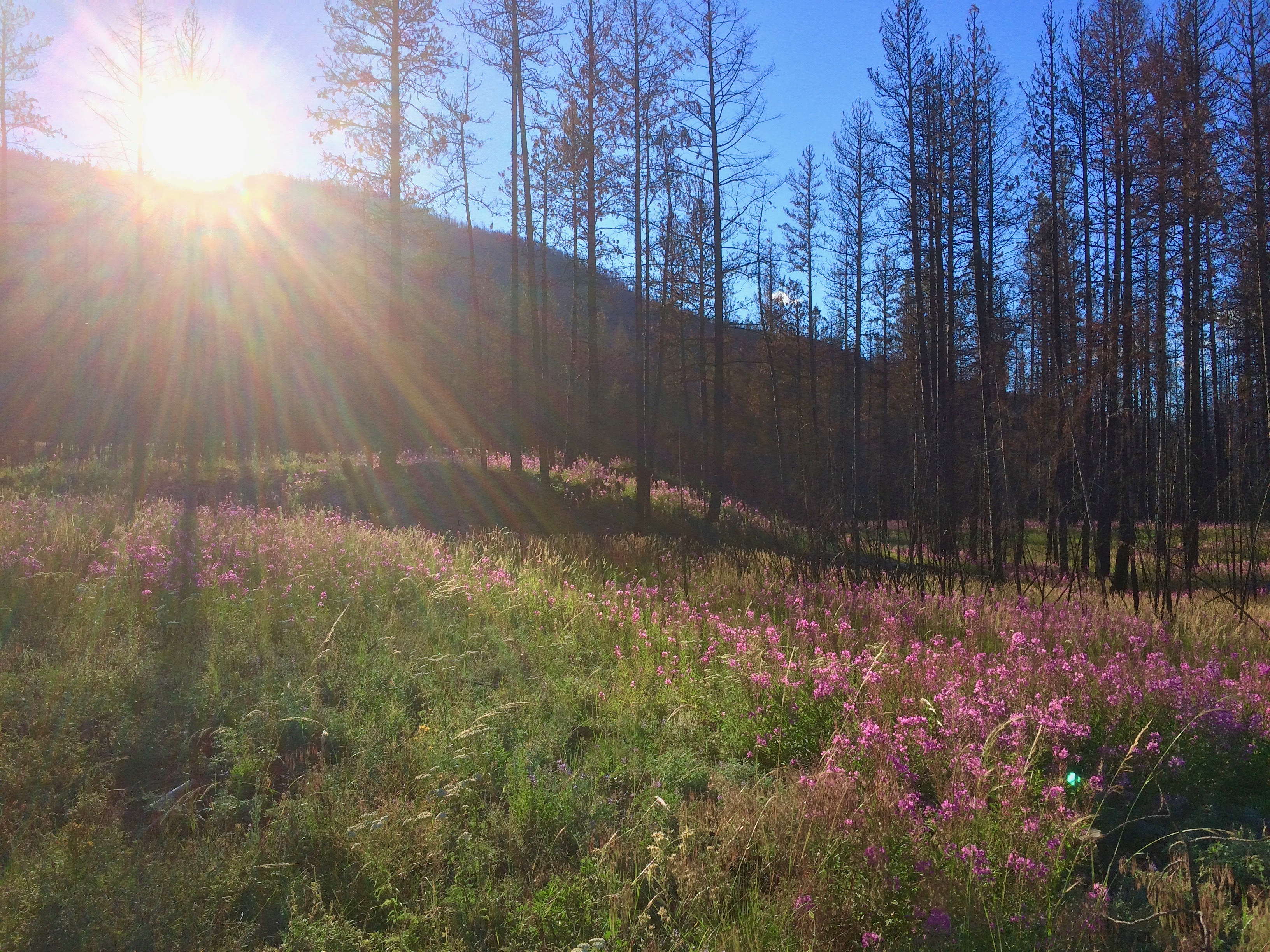 Kettle River Recreation Area