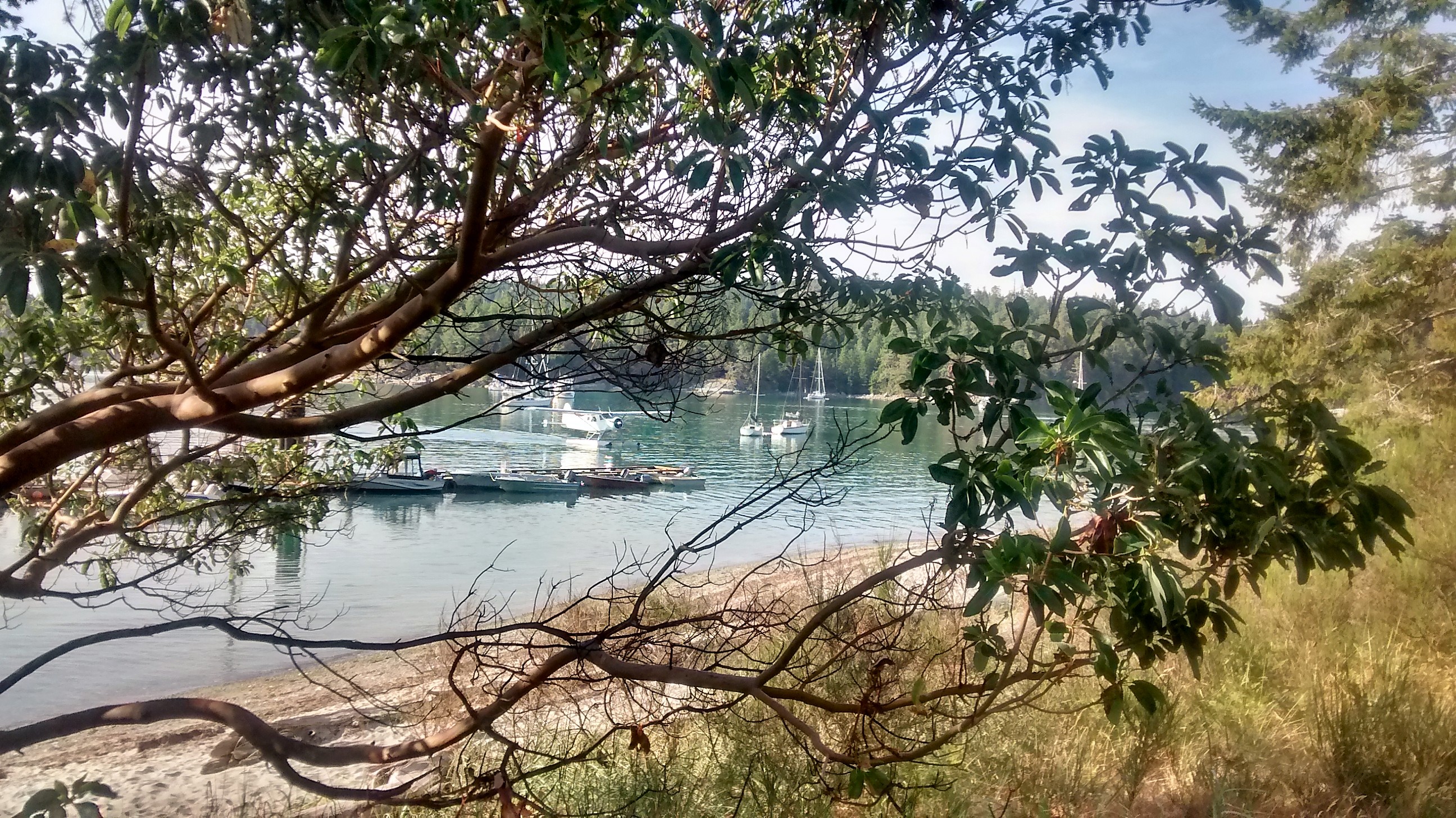 Mansons Landing Provincial Park (DayUse)