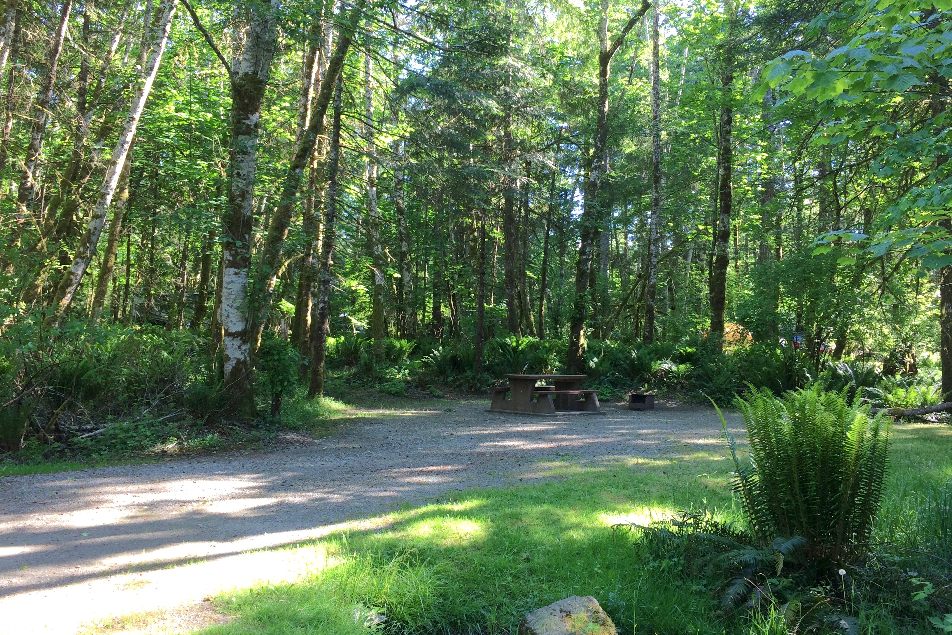 Miracle Beach Provincial Park