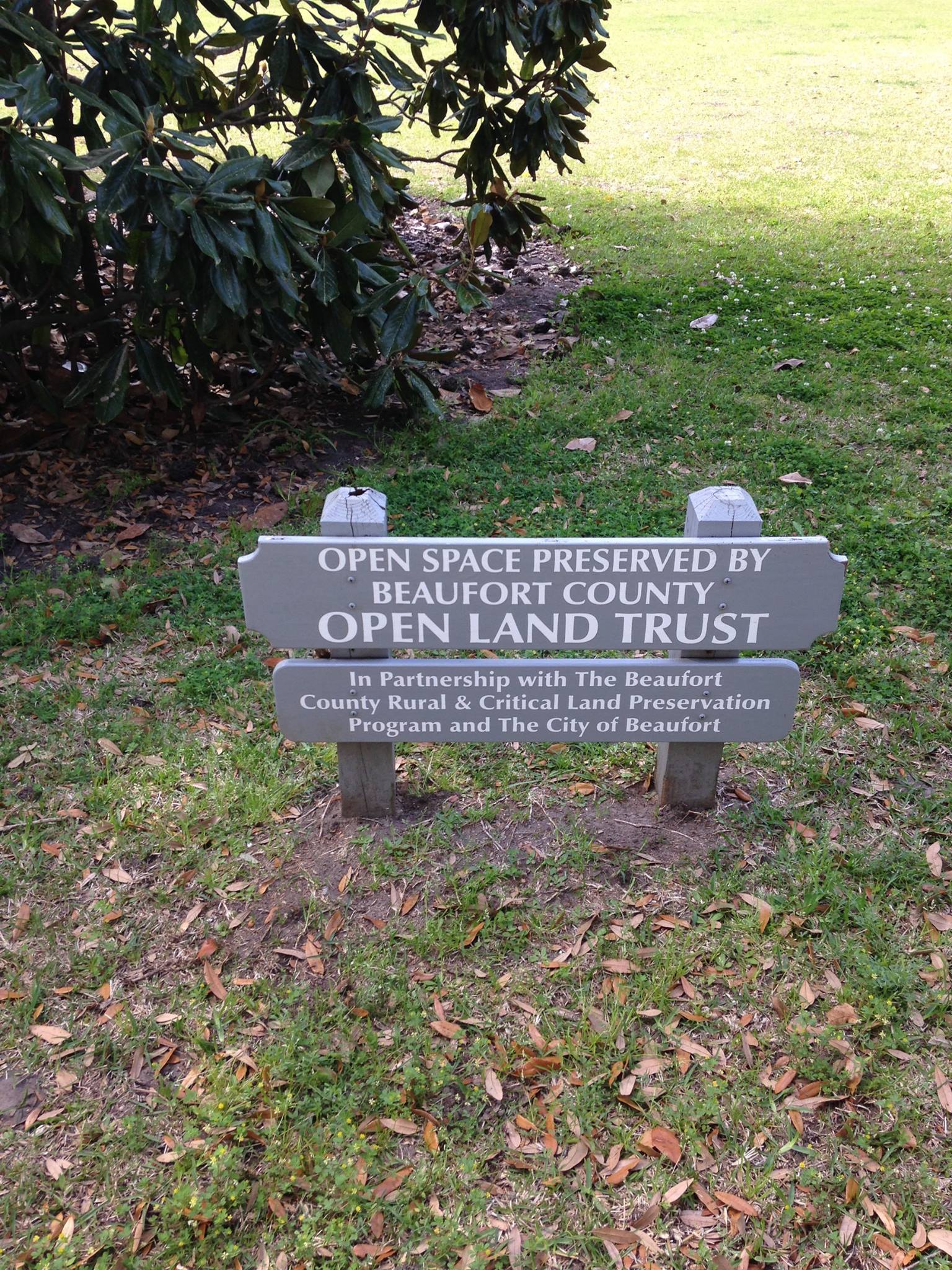 Celebrating 50 years of preservation Beaufort County Open Land Trust