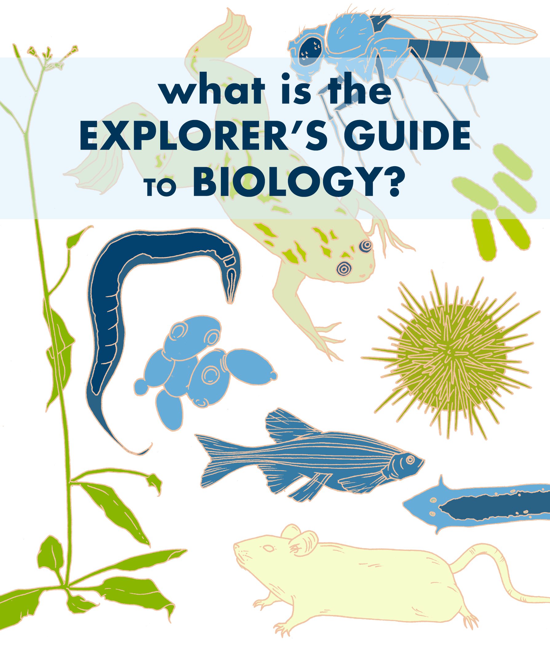 The Explorer's Guide to Biology Free Learning Platform