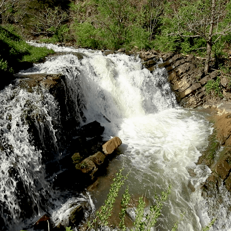 Steele Creek Park Explore Bristol