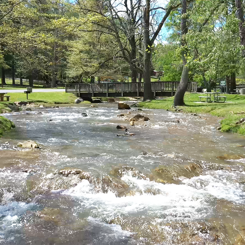 Steele Creek Park Explore Bristol