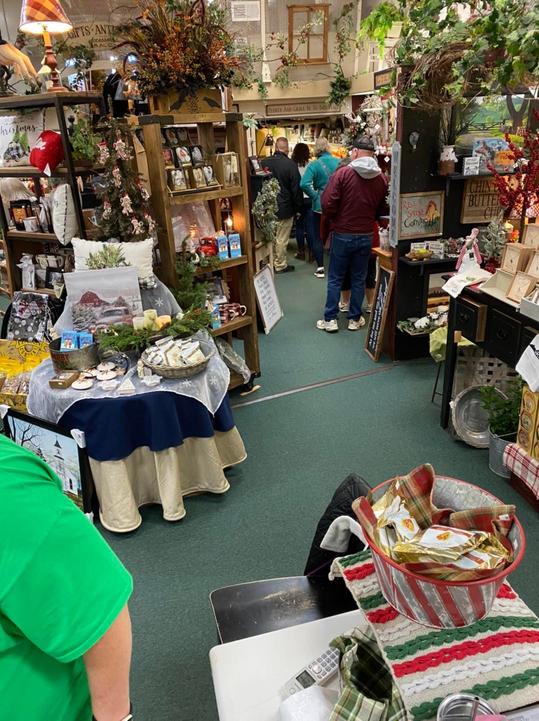 Cranberry Lane Explore Bristol