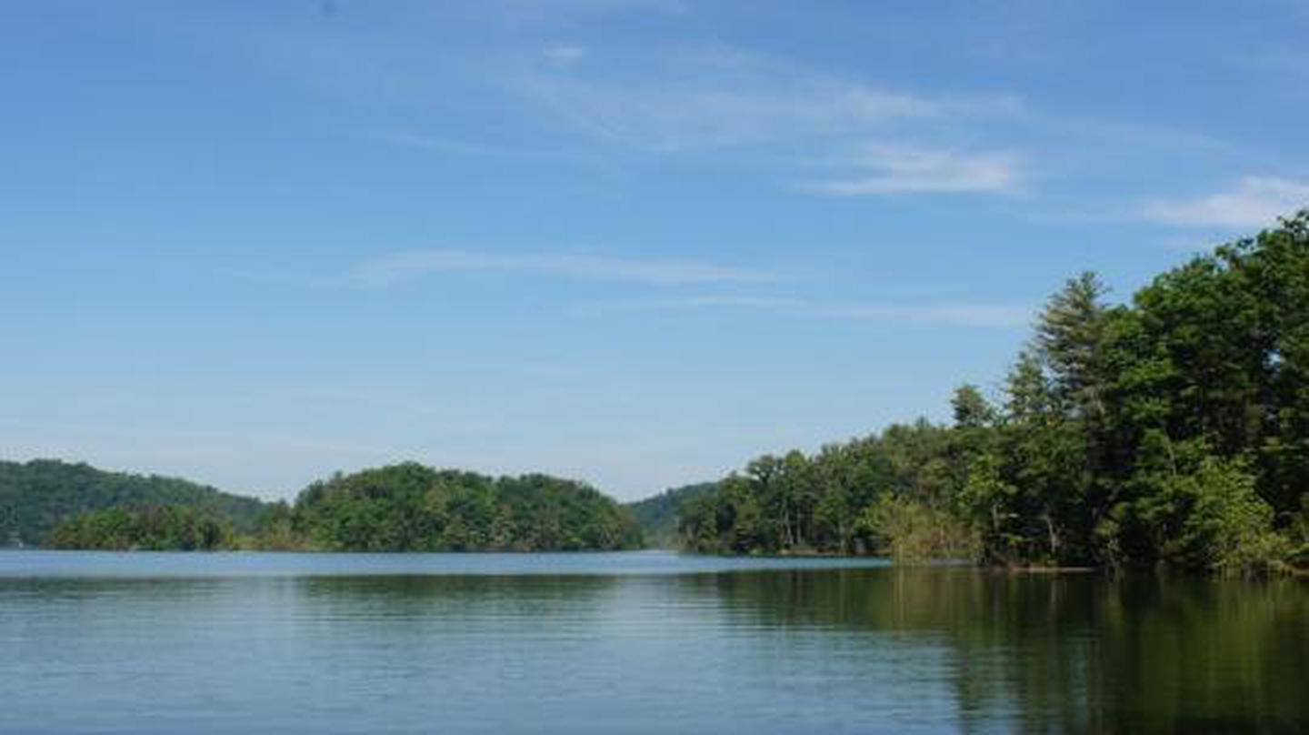Cherokee National Forest (Jacob's Creek) Explore Bristol