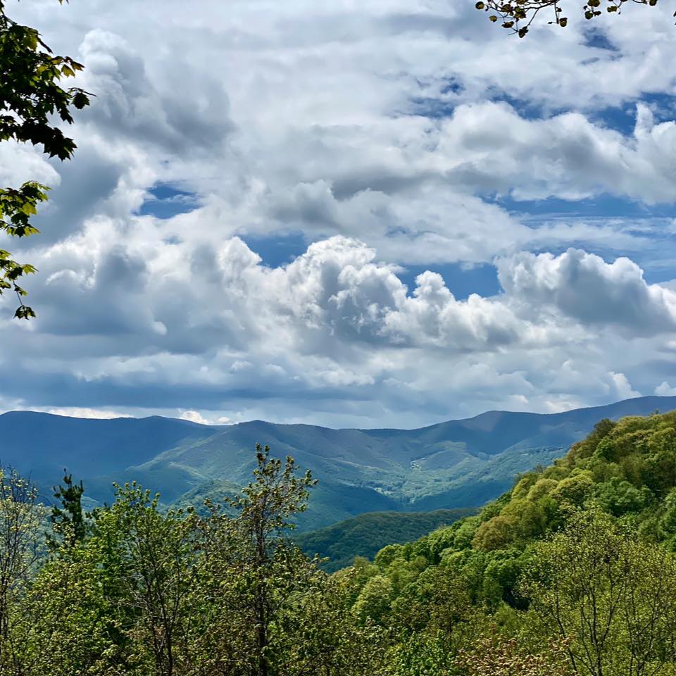 Roan Mountain State Park Explore Bristol