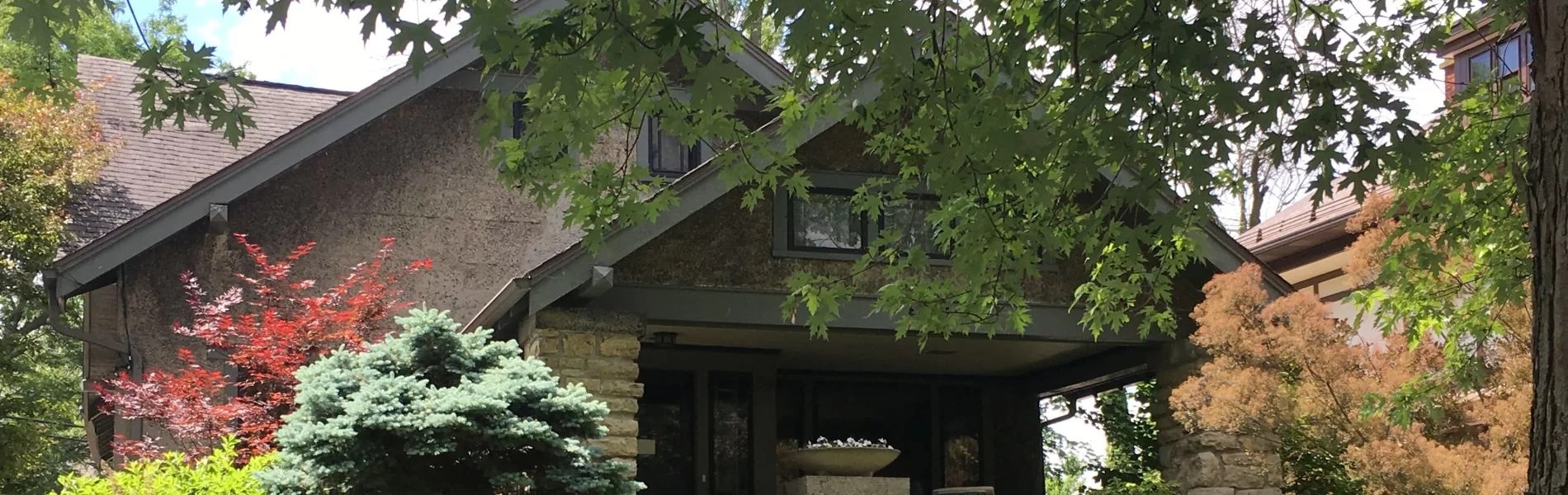 Buffalo Bungalows Explore Buffalo