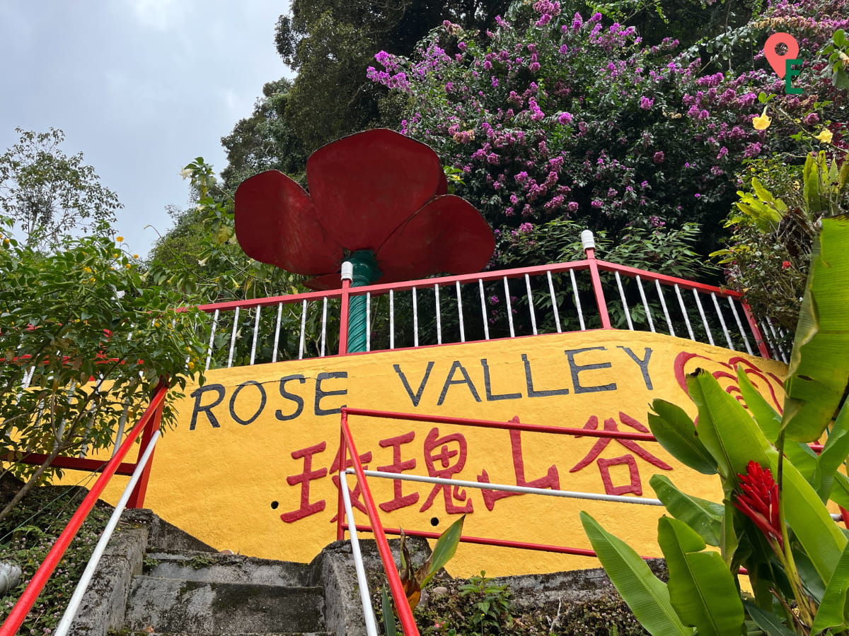 Rose Valley Flower Garden With Low Entry Fees To Explore