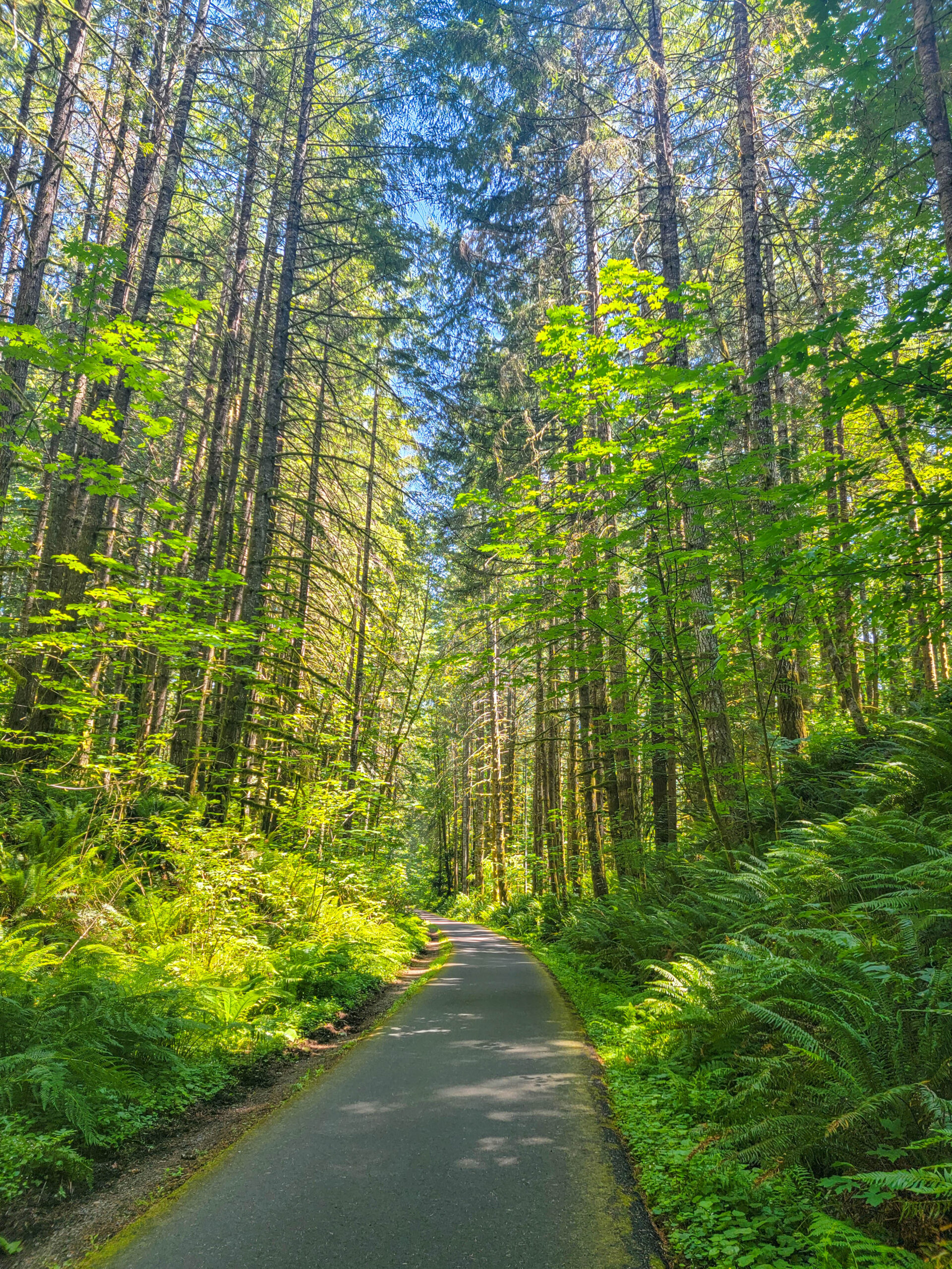 Rail Trails BanksVernonia State Trail Explore Constantly