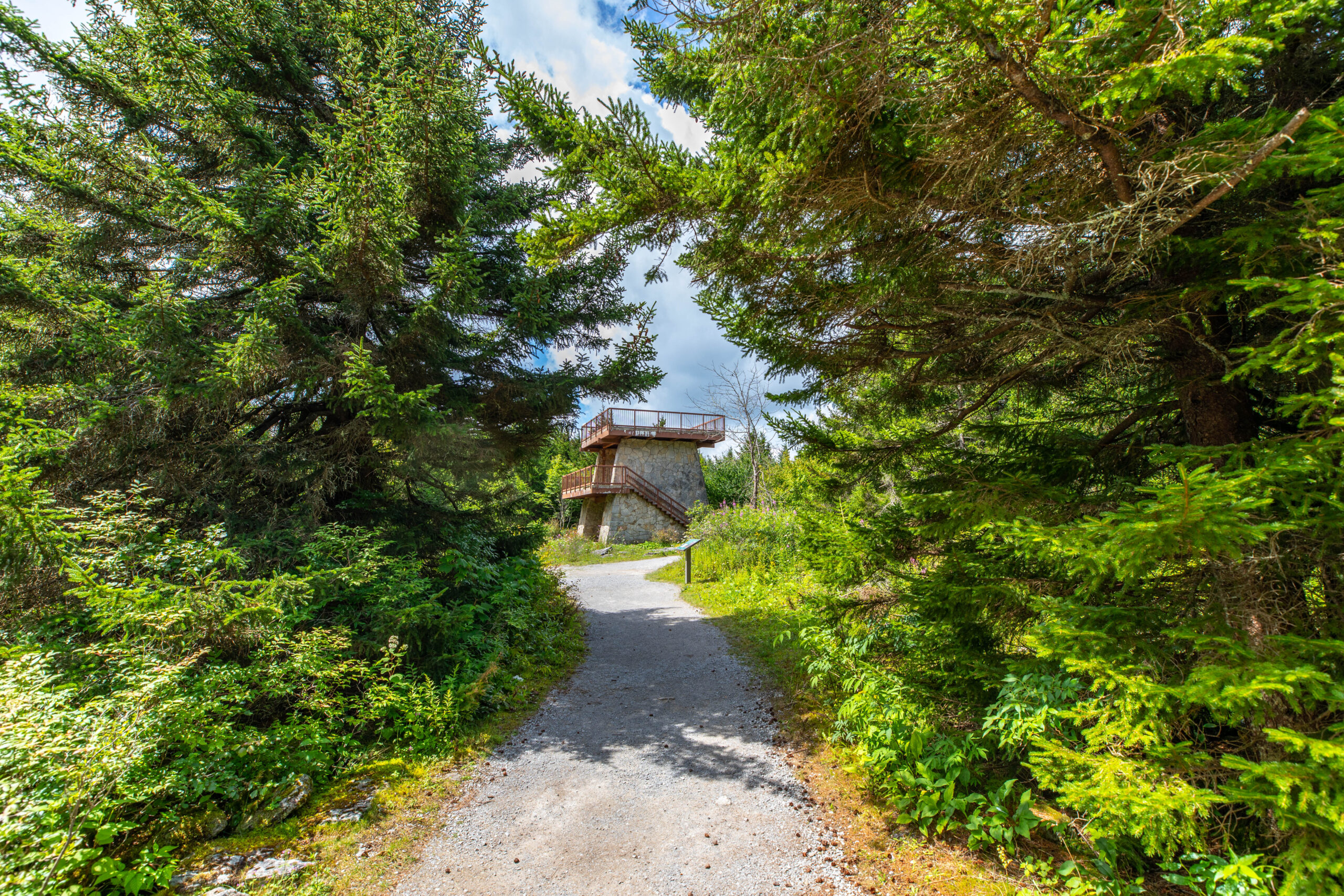 Hiking on West Virginia’s Highest Peak Spruce Knob Explore Constantly