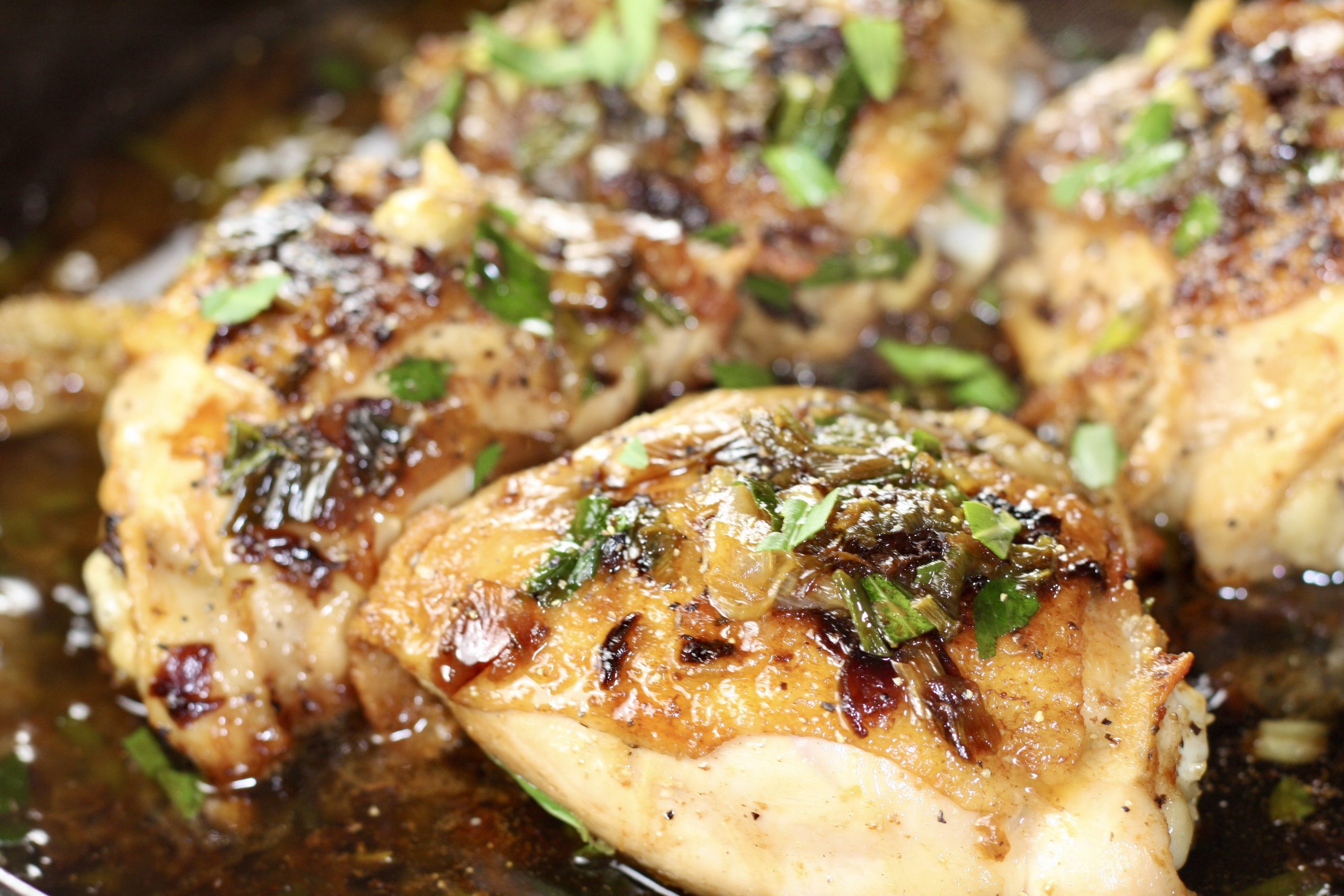 French Tarragon Chicken 1,000 Foods to Eat Project Explore Cook Eat