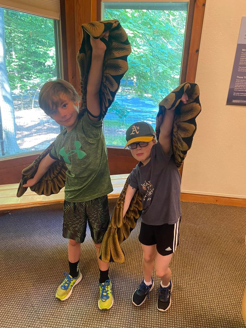 Hudson Highlands Nature Museum Cornwall NY