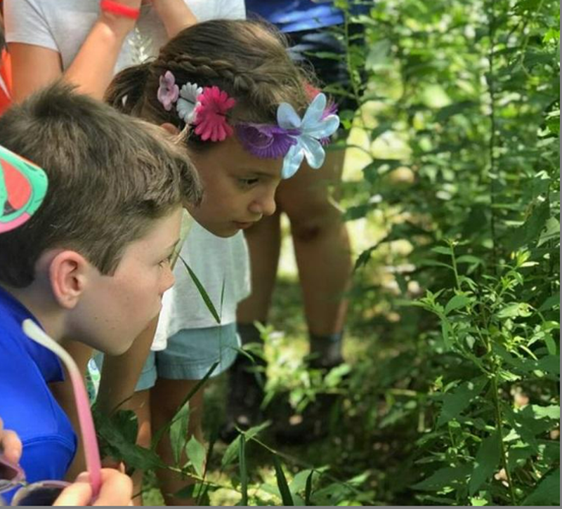 Hudson Highlands Nature Museum Cornwall NY
